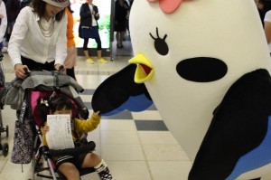 IMG_1290 IMG_1290