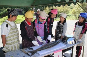 サケに興味津々の子どもたち サケに興味津々の子どもたち