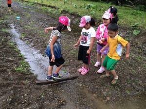 川遊び② 川遊び②