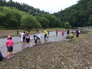 川遊び③ 川遊び③